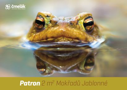 stante-se-patronem-mokradu-jablonne